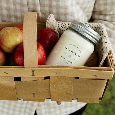 Antique Candle Co.® - Apple Orchard Soy Candle