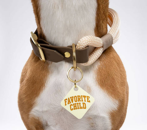 Freshwater Curated Goods - Favorite Child Pet Tag