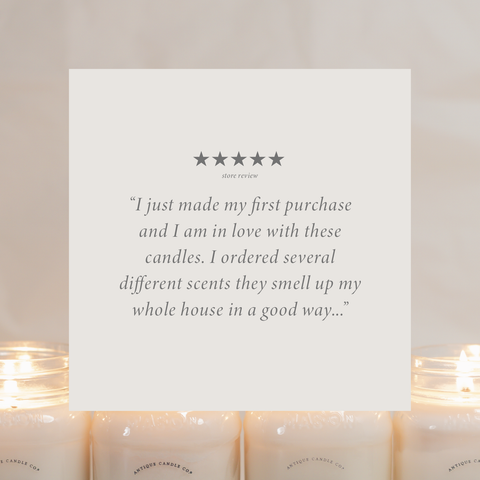 Antique Candle Co.® - Vanilla Sugar Cookie 16 oz candle - Main Street Roasters®