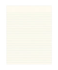 White paper with horizontal lines on a white background