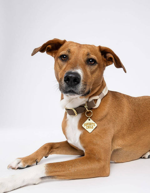 Freshwater Curated Goods - Favorite Child Pet Tag