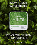 Simply Gum - Simply Mints - Peppermint | Pack of Six - Main Street Roasters®