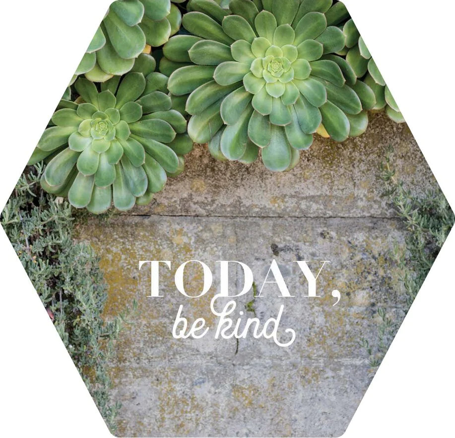 Abiart Magnets - Today Be Kind - Main Street Roasters