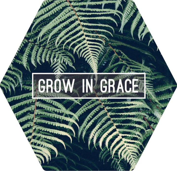 Abiart Magnets - Grow In Grace - Main Street Roasters