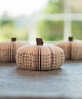 Book Pumpkin Cuties 