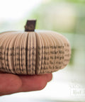 Book Pumpkin Cuties In Hand