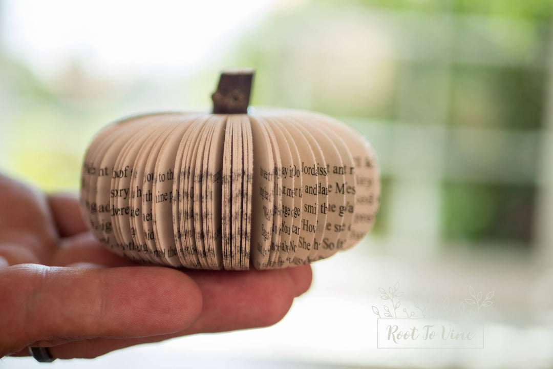 Book Pumpkin Cuties In Hand