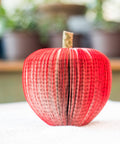 Book Red Apple 2