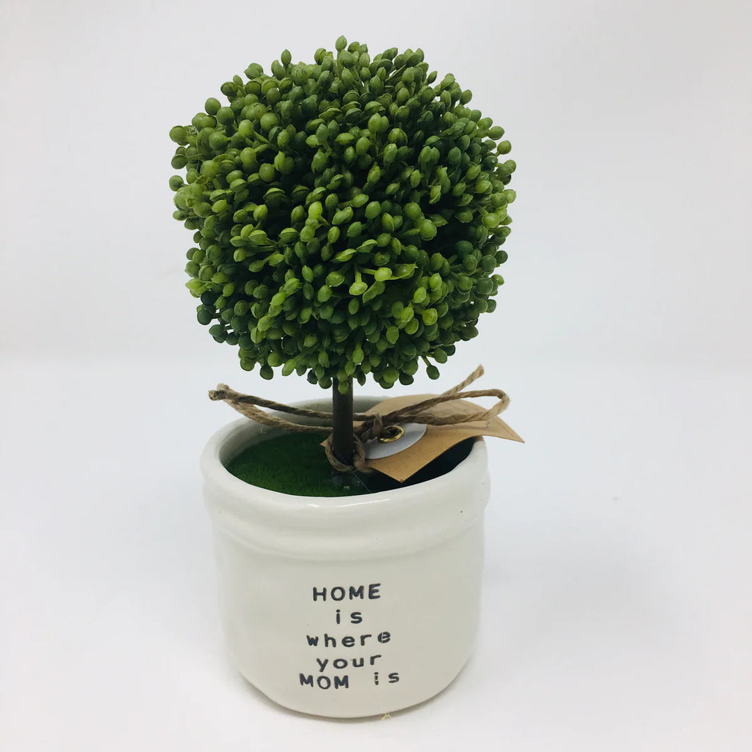 Faux Mini Plant | Home Is Where Your Mom Is - Main Street Roasters