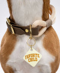 Dog wearing a brown leather collar with a beige rope, gold tag, and 'FAVORITE CHILD' tag on a white background.