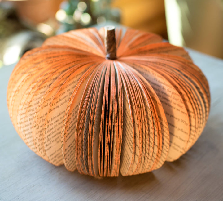 Rustic Book Pumpkin