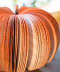 Rustic Book Pumpkin Closeup
