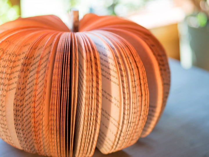 Rustic Book Pumpkin Closeup