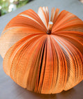 Rustic Book Pumpkin Top