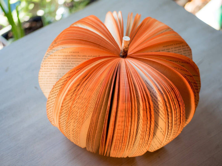 Rustic Book Pumpkin Top