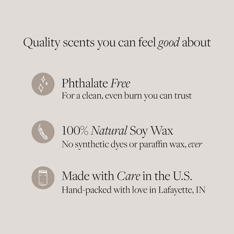 Antique Candle Co.® - Vanilla Sugar Cookie 16 oz candle - Main Street Roasters®
