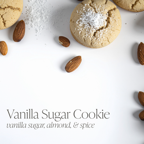 Antique Candle Co.® - Vanilla Sugar Cookie 16 oz candle - Main Street Roasters®