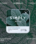 Simply Gum - Simply Mints - Wintergreen | Pack of Six - Main Street Roasters®