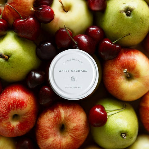 Antique Candle Co.® - Apple Orchard Soy Candle