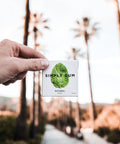 Hand holding a box of Simply Gum with palm trees in the background